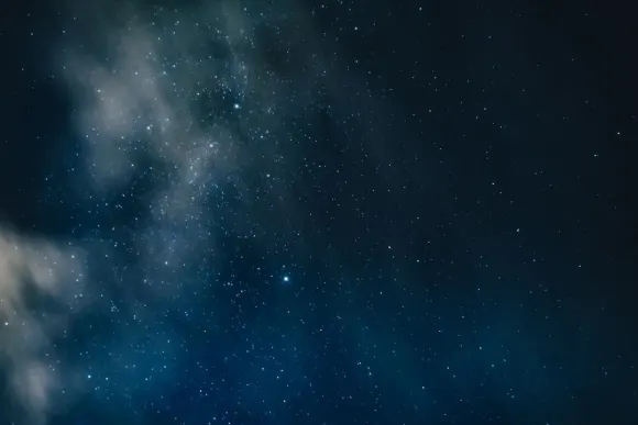 Casino Wicked Jackpots Support